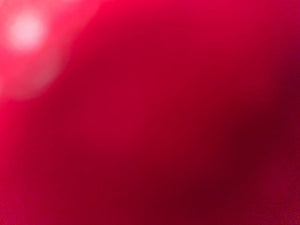 Af1bbfc514d5342c9a8c662fa6921b4d5N.jpg